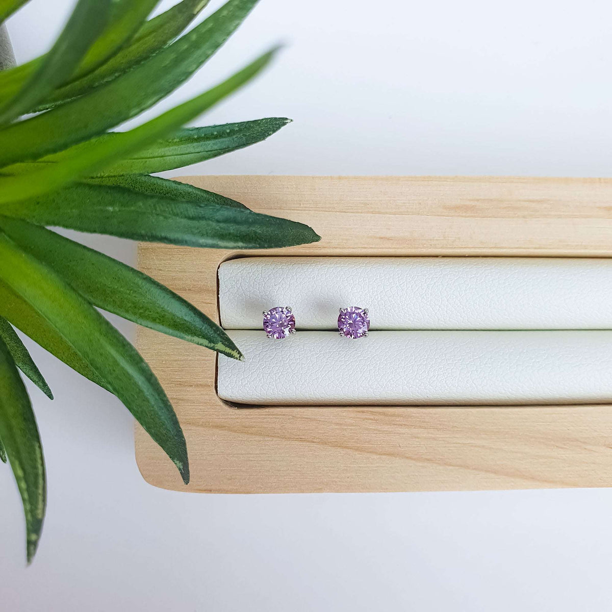 Violet stud earrings on a white jewellery tray next to a green plant