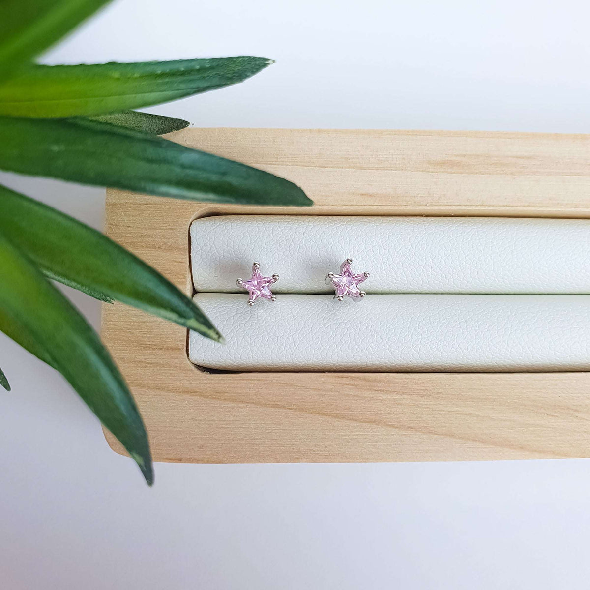 Pink star studs on a pale leather tray with a green plant behind